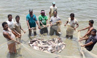 आत्मनिर्भरता और आर्थिक स्थिरता का मजबूत आधार बना-मत्स्य पालन