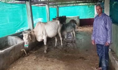 मनरेगा से बदली किस्मत : साय सरकार की योजनाओं से रामफल बने आत्मनिर्भर किसान