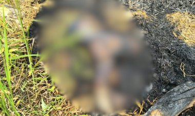 CG – युवती की मिली जली लाश : इलाके में फैली सनसनी, जताई जा रही ये आशंका