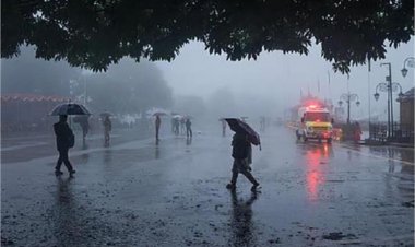 छत्तीसगढ़ में भी दिखने लगा चक्रवात मोन्था का असर, मौसम विभाग ने दी अगले 3 दिनों तक तेज हवाओं के साथ भारी बारिश की चेतावनी