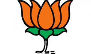 एसआईआर को लेकर कांग्रेस नेता फिर छत्तीसगढ़ में झूठ फैलाने में जुटे : पाण्डेय