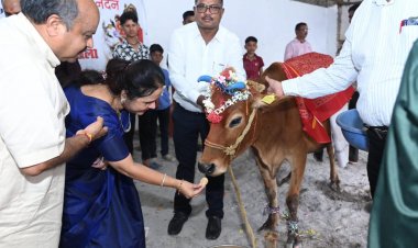 महापौर मीनल चौबे ने गोपाष्टमी पर महाबीर गौशाला में की गौवंश की गौग्रास खिलाकर सेवा
