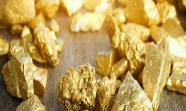 CG – सोना उगलेगी छत्तीसगढ़ की धरती,इतने क्विंटल गोल्ड मिलने का अनुमान,राज्य की अर्थव्यवस्था को मिलेगी नई उड़ान