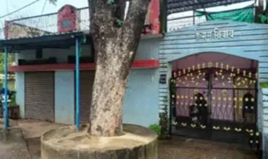 बिलासपुर में कोर्ट के आदेश के बाद 3 गांजा तस्करों की 1.50 करोड़ की प्रापर्टी फ्रीज की गई