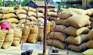 CG- राज्य सरकार ने एक दर्जन से ज्यादा समिति प्रबंधकों को किया बर्खास्त...जानिए क्या है पूरा मामला..!!