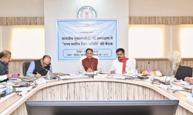 मुख्यमंत्री  विष्णु देव साय की अध्यक्षता में राज्य स्तरीय दिशा समिति की बैठक संपन्न