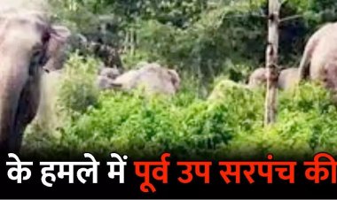 छत्तीसगढ़ के इस जिले में गजराज का आतंक: पूर्व उप सरपंच को कुचलकर उतारा मौत के घाट, तीन लोगों ने भागकर बचाई अपनी जान….