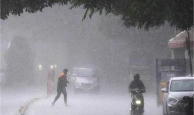 Weather Update : छत्तीसगढ़ के इन जिलों में अगले तीन दिनों तक चलेगी शीतलहर, मौसम विभाग ने जारी किया अलर्ट……