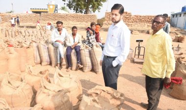 कलेक्टर श्री सिंह ने पाटन विकासखण्ड में धान खरीदी और एसआईआर कार्य का किया निरीक्षण