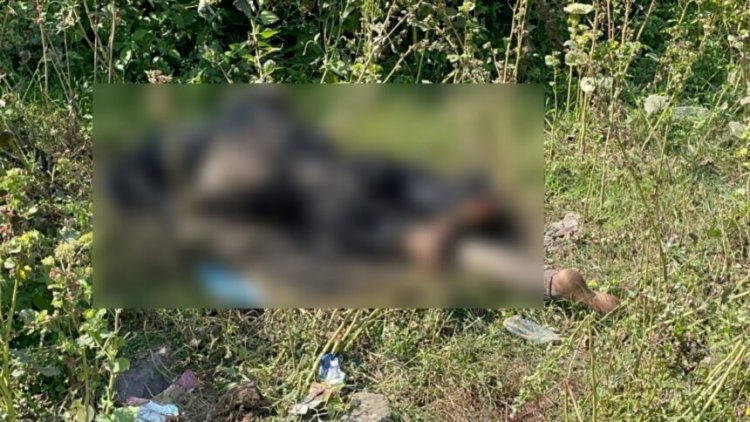 CG News : झाड़ियों में मिली युवक की अधजली लाश, बेरहमी से हत्या कर जलाने की कोशिश