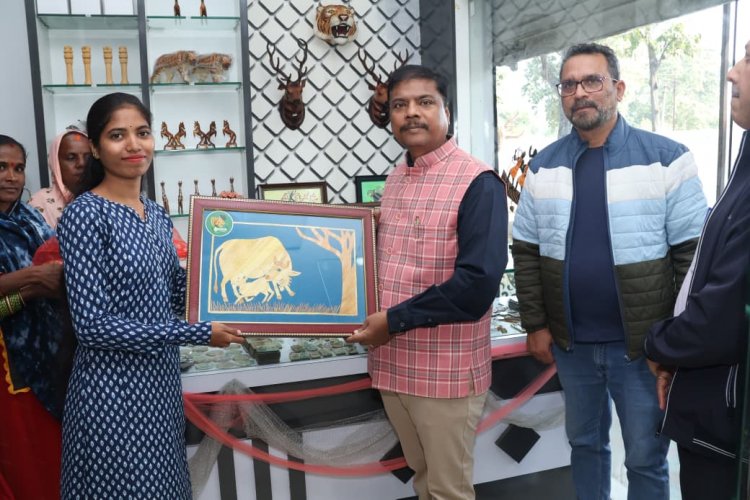 प्रकृति, वन्यजीवन और कला का अद्भुत संगम है अचानकमार टाइगर रिज़र्व: वन मंत्री श्री केदार कश्यप