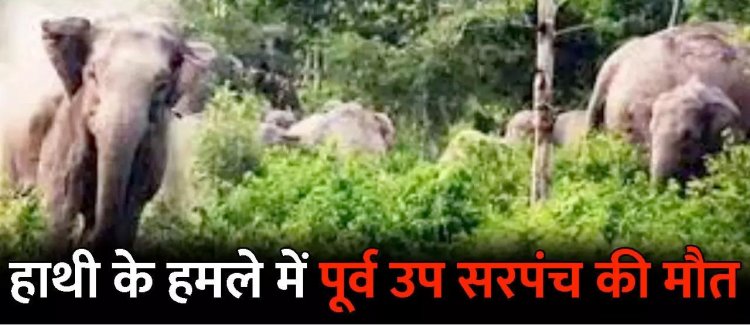 छत्तीसगढ़ के इस जिले में गजराज का आतंक: पूर्व उप सरपंच को कुचलकर उतारा मौत के घाट, तीन लोगों ने भागकर बचाई अपनी जान….