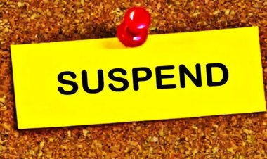 CG – उच्च शिक्षा विभाग का बड़ा एक्शन, PG कालेज की प्रिंसिपल समेत 4 असिस्टेंड प्रोफसर को तत्काल प्रभाव से किया निलंबित, इस वजह से गिरी गाज…..