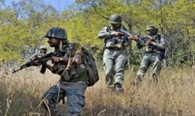 Naxali Encounter : बीजापुर–दंतेवाड़ा मुठभेड़ में 12 नक्सली ढेर, 3 जवान शहीद