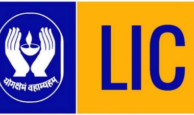 LIC की बड़ी पेशकश! अब 2 नए प्लान के साथ मिलेगा बीमा, निवेश और ₹2 करोड़ तक सुरक्षा