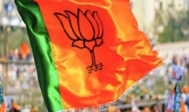 BREAKING: भाजपा ने महिला मोर्चा छत्तीसगढ़ की प्रदेश कार्यकारिणी का किया ऐलान, देखें पूरी लिस्ट