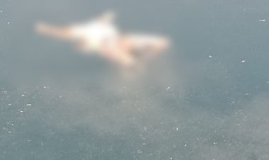 Breaking : राजधानी में यहां मिली सिर कटी लाश, हत्या की आशंका