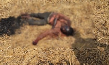 Murder : रायपुर में फिर मर्डर, युवक की हत्या कर जलाई लाश, इलाके में दहशत