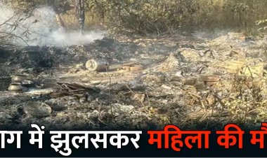 CG- आग में झुलसकर महिला की मौत: खेत में मिली अधजली लाश…पराली जलाने का हादसा या कुछ और?