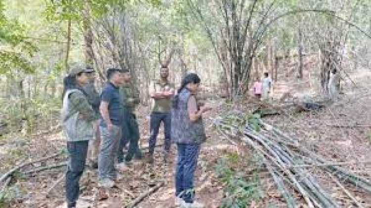 बस्तर में शांति का नया अध्याय, नक्सल मुक्त इलाकों में वानिकी बन रहा रोजगार का प्रमुख जरिया