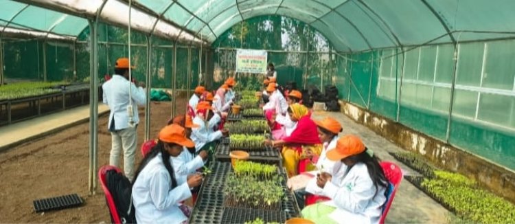 उद्यानिकी प्रशिक्षण से सशक्त होंगे किसान और युवा