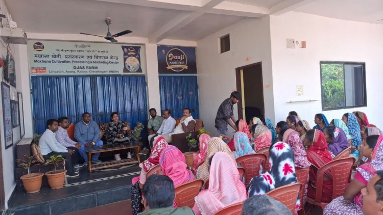  मखाना खेती से बदलेगी धमतरी की ग्रामीण महिलाओं की आर्थिक तस्वीर