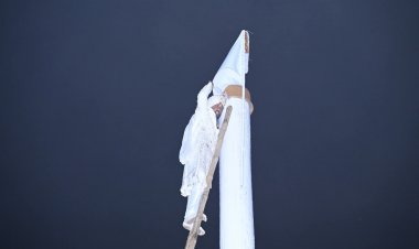 45 फीट ऊंचे जैतखाम पर स्वयं चढ़कर गुरु धर्म का किया निर्वहन, गूंज उठा 'सतनाम' का जयघोष