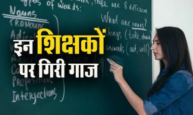 बड़ा एक्शन : फर्जी दस्तावेजों के जरिये शिक्षा विभाग में नौकरी कर रहे 8 शिक्षक बर्खास्त