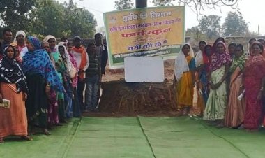  50 वर्षों बाद धमतरी के आदिवासी अंचल में रबी खेती की वापसी : 35 एकड़ में रागी उत्पादन से बदली खेती की तस्वीर