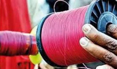 चाईनीज मांझे पर पूर्ण प्रतिबंध, पर्यावरण संरक्षण मंडल की आम जनता से अपील