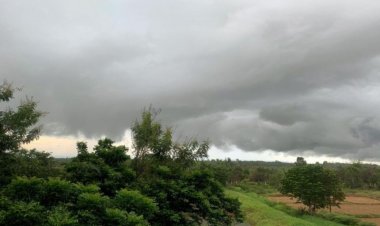 Weather Update : छत्तीसगढ़ में मौसम विभाग का अलर्ट, आज गरज-चमक के साथ हल्की बारिश की संभावना