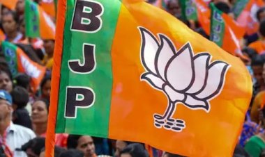 भाजयुमो में बड़ा फेरबदल, 13 जिलों में नए अध्यक्ष और महामंत्री नियुक्त, जानिए रायपुर में किसे मिली जिम्मेदारी?