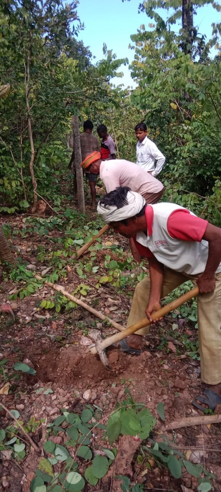 छत्तीसगढ़ राज्य वन विकास निगम द्वारा माओवाद प्रभावित क्षेत्रों में वानिकी कार्यों से राजस्व वृद्धि