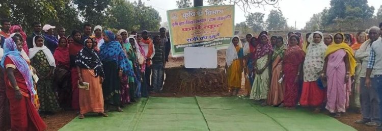  50 वर्षों बाद धमतरी के आदिवासी अंचल में रबी खेती की वापसी : 35 एकड़ में रागी उत्पादन से बदली खेती की तस्वीर