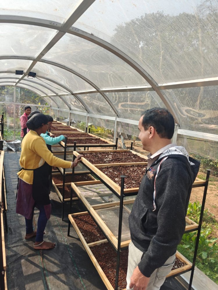 जशपुर में DST प्रायोजित परियोजना के तहत सोलर टनल ड्रायर की स्थापना