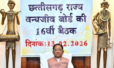 छत्तीसगढ़ राज्य वन्यजीव बोर्ड की बैठक में बड़े निर्णय, राष्ट्रीय बोर्ड को भेजे जाएंगे प्रस्ताव