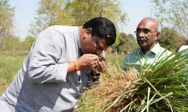 छत्तीसगढ़ को हर्बल ग्रोथ इंजन बनाने की दिशा में तेजी से काम कर रहा है बोर्ड : अध्यक्ष  विकास मरकाम