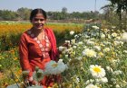 बिहान योजना से खिला रत्ना का भविष्य- फूलों की खेती से बनीं सफल उद्यमी