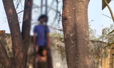 CG - फांसी के फंदे पर लटकती मिली दो दोस्तों की लाश, पूरे गांव में फैली सनसनी...पढ़िये पूरी खबर..!!