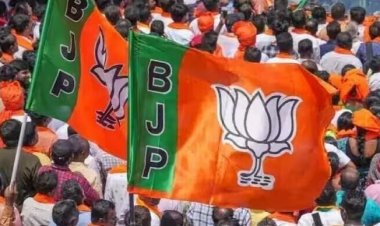 ब्रेकिंग : भाजपा प्रदेश मीडिया टीम की घोषणा, इन पदों पर हुई नियुक्त, देखें लिस्ट…..