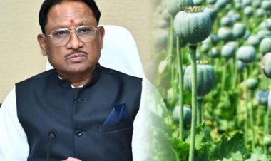 अफीम की अवैध खेती पर CM विष्णुदेव का कड़ा रुख, सभी कलेक्टरों को दिए यह निर्देश