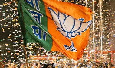 CG : बीजेपी व्यापार प्रकोष्ठ के संभाग प्रभारी-सहप्रभारी घोषित