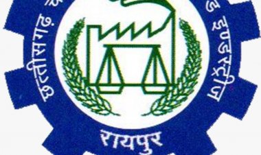 व्यापारियों की समस्याओं के समाधान के लिए चेम्बर प्रदेश अध्यक्ष सतीश थौरानी की बड़ी पहल:- विभिन्न विषयों के विशेषज्ञों की सलाहकार टीम नियुक्त