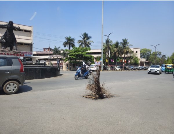 स्मार्ट सिटी रायपुर की हकीकत : मुख्य मार्ग के गड्ढे में झाड़ी, बदहाल व्यवस्था