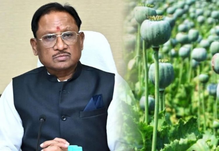 अफीम की अवैध खेती पर CM विष्णुदेव का कड़ा रुख, सभी कलेक्टरों को दिए यह निर्देश