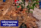 नागरिकों को पर्यावरण संरक्षण के प्रति जागरूक करने गर्मी में वृक्षारोपण