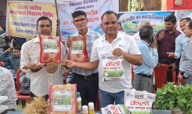  लैलूंगा की पहचान बना ‘केलो’ जैविक जंवाफूल चावल