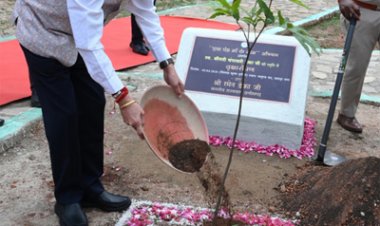 राज्यपाल डेका ने जशपुर के मातृत्व वन में किया सीता अशोक के पौधे का रोपण