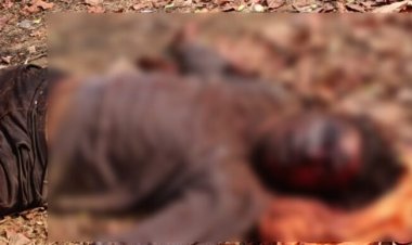 CRIME : जंगल में मिली युवक की लाश, गला रेतकर की गई बेरहम हत्या से सनसनी