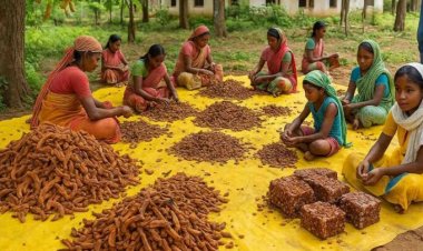 अब वैश्विक बाजार में महकेगी बस्तर की इमली, ‘दंडकारण्य फूड्स’ यूनिट से बदलेगी हजारों परिवारों की तकदीर